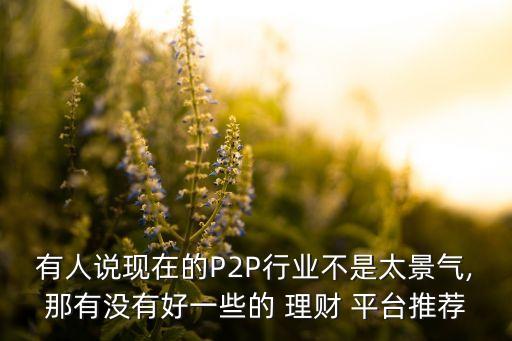 有人說(shuō)現(xiàn)在的P2P行業(yè)不是太景氣,那有沒(méi)有好一些的 理財(cái) 平臺(tái)推薦