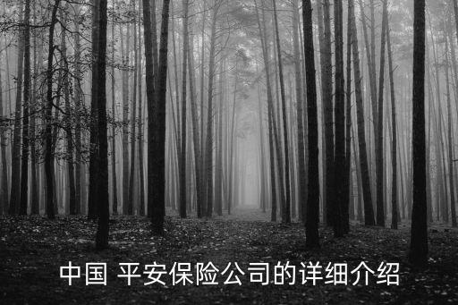 中國 平安保險(xiǎn)公司的詳細(xì)介紹