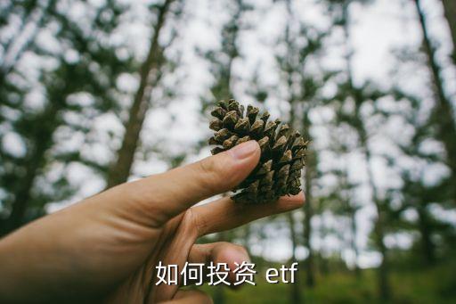 如何投資 etf