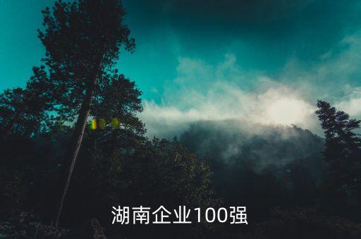 湖南企業(yè)100強(qiáng)