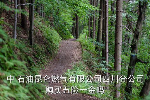 中國(guó)石油有公積金嗎,四川石油公積金提取流程