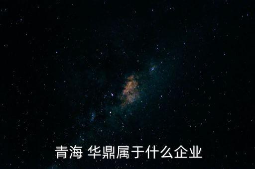  青海 華鼎屬于什么企業(yè)