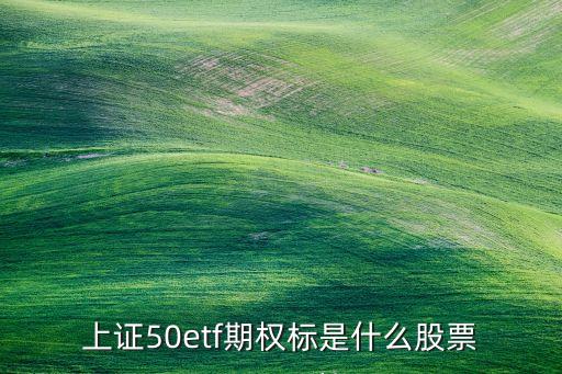 上證50etf期權(quán)標(biāo)是什么股票