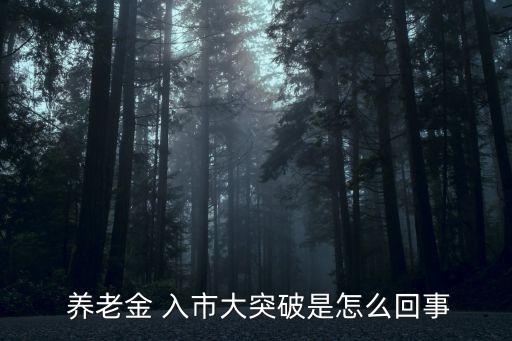 養(yǎng)老保險基金入市問題的思考,地方養(yǎng)老保險基金是否應(yīng)該入市