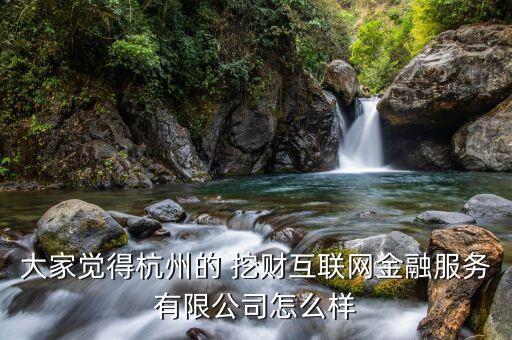 大家覺(jué)得杭州的 挖財(cái)互聯(lián)網(wǎng)金融服務(wù)有限公司怎么樣