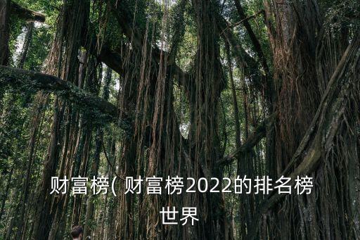  財富榜( 財富榜2022的排名榜世界