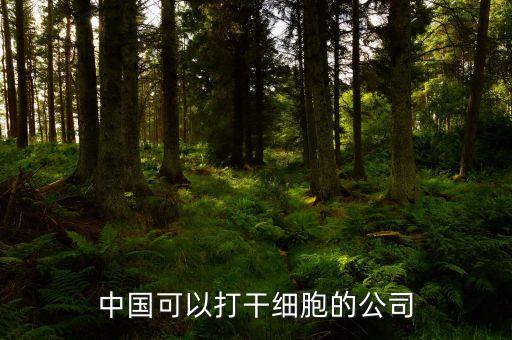 中國可以打干細(xì)胞的公司