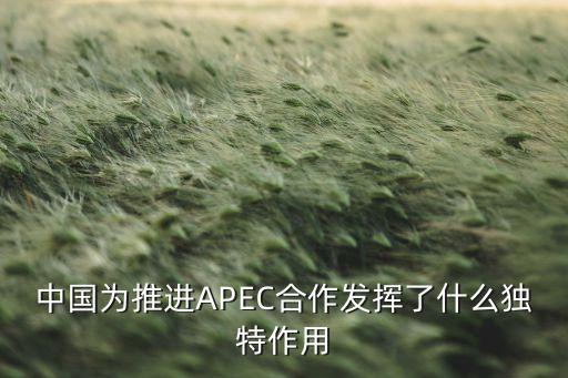 中國為推進APEC合作發(fā)揮了什么獨特作用