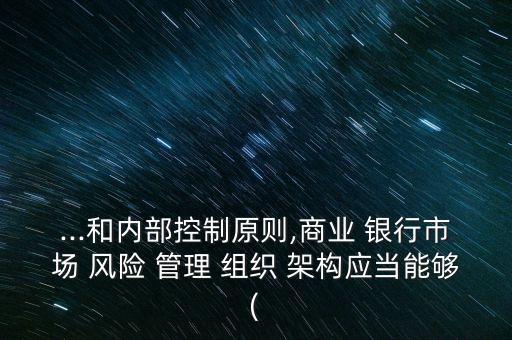 ...和內(nèi)部控制原則,商業(yè) 銀行市場 風險 管理 組織 架構(gòu)應當能夠(