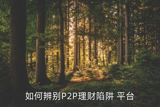 如何辨別P2P理財陷阱 平臺