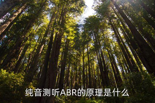 純音測(cè)聽(tīng)ABR的原理是什么