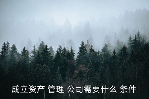 成立資產(chǎn) 管理 公司需要什么 條件