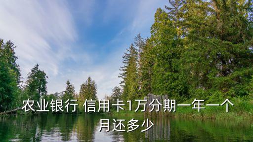  農(nóng)業(yè)銀行 信用卡1萬(wàn)分期一年一個(gè)月還多少