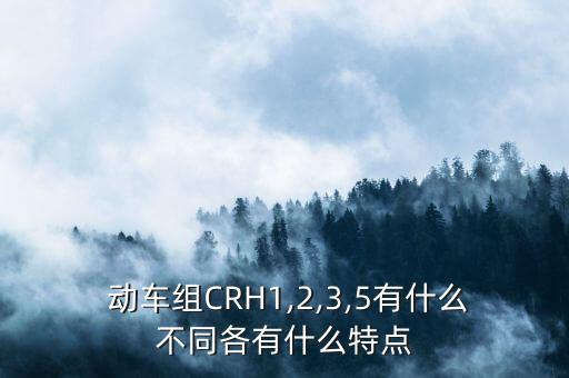  動(dòng)車組CRH1,2,3,5有什么不同各有什么特點(diǎn)