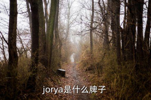 jorya是什么牌子