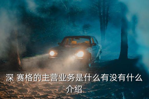 深 賽格的主營(yíng)業(yè)務(wù)是什么有沒(méi)有什么介紹