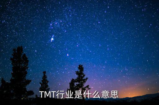 tmt基金是什么意思,TMT基金是什么意思