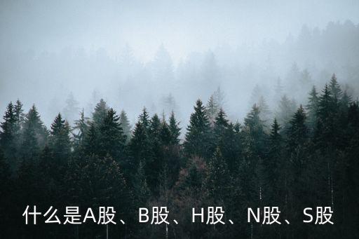 什么是A股、B股、H股、N股、S股