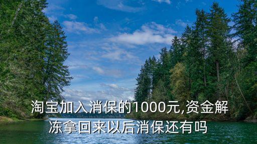  淘寶加入消保的1000元,資金解凍拿回來(lái)以后消保還有嗎