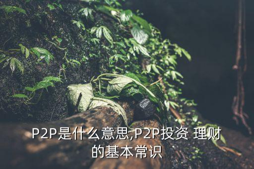 P2P是什么意思,P2P投資 理財(cái)?shù)幕境ＷR(shí)