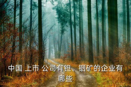 中國(guó) 上市 公司有鉭、銦礦的企業(yè)有哪些