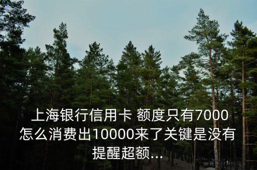  上海銀行信用卡 額度只有7000怎么消費出10000來了關(guān)鍵是沒有提醒超額...