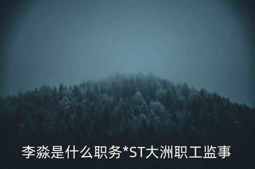 黑龍江恒陽集團董事長陳陽友