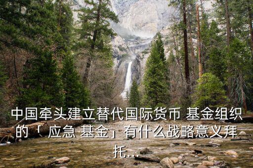 中國牽頭建立替代國際貨幣 基金組織的「 應(yīng)急 基金」有什么戰(zhàn)略意義拜托...