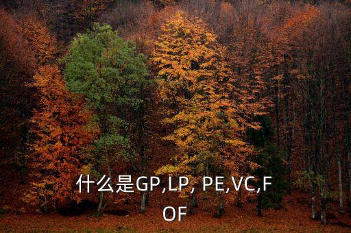 什么是GP,LP, PE,VC,FOF