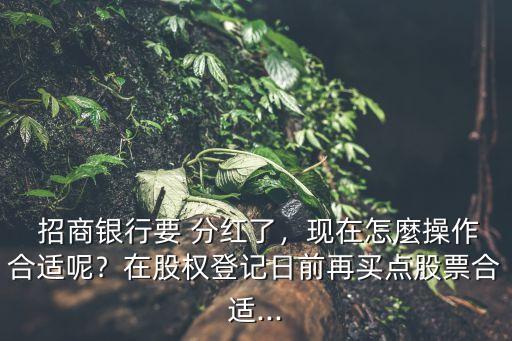  招商銀行要 分紅了﹐現(xiàn)在怎麼操作合適呢﹖在股權(quán)登記日前再買點股票合適...