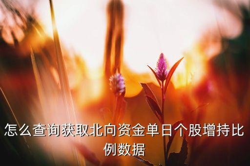 怎么查詢獲取北向資金單日個(gè)股增持比例數(shù)據(jù)