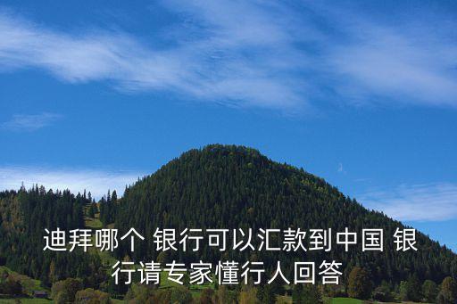  迪拜哪個 銀行可以匯款到中國 銀行請專家懂行人回答