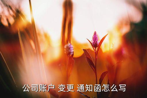  公司賬戶 變更 通知函怎么寫