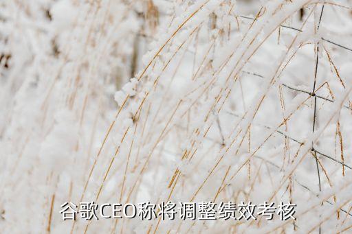  谷歌CEO稱將調(diào)整績效考核