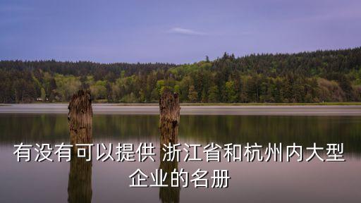 有沒有可以提供 浙江省和杭州內(nèi)大型企業(yè)的名冊(cè)