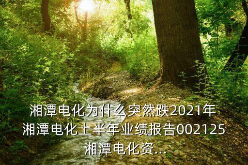  湘潭電化為什么突然跌2021年 湘潭電化上半年業(yè)績(jī)報(bào)告002125 湘潭電化資...