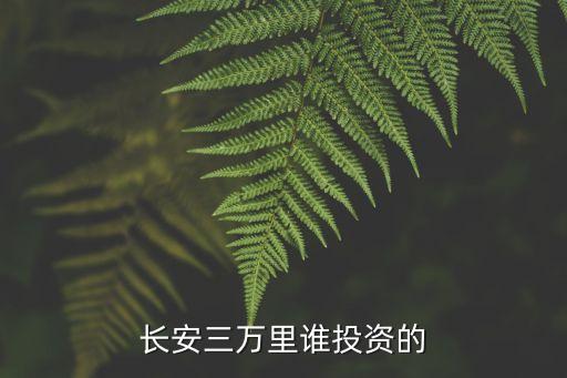 長安三萬里誰投資的