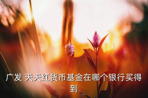 廣發(fā)基金天天紅怎樣查看