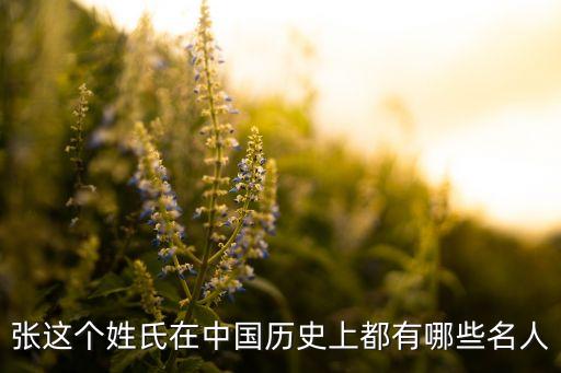 上海華銘張亮圖片