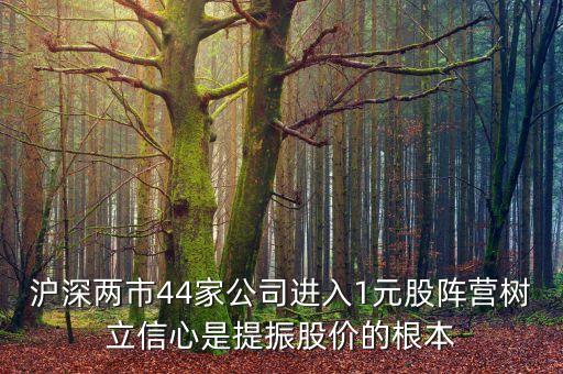 滬深兩市44家公司進(jìn)入1元股陣營樹立信心是提振股價的根本