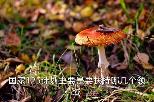 國家125計劃主要是要扶持哪幾個領(lǐng)域