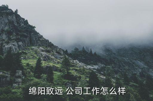  綿陽(yáng)致遠(yuǎn) 公司工作怎么樣