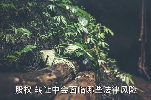  股權(quán) 轉(zhuǎn)讓中會(huì)面臨哪些法律風(fēng)險(xiǎn)