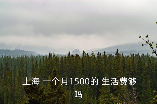  上海 一個月1500的 生活費(fèi)夠嗎