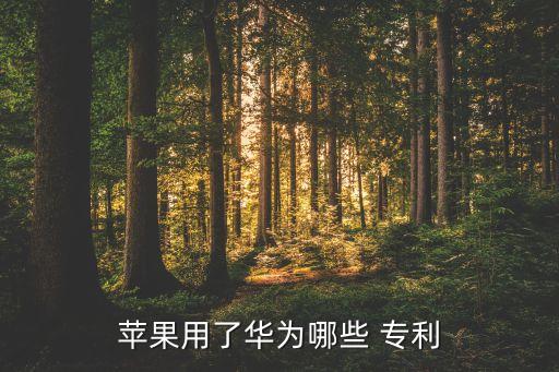 蘋(píng)果用了華為哪些 專利