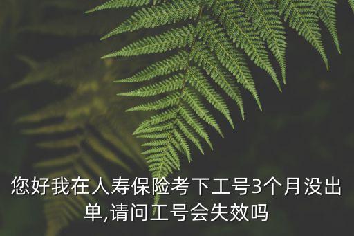 您好我在人壽保險(xiǎn)考下工號(hào)3個(gè)月沒出單,請(qǐng)問工號(hào)會(huì)失效嗎