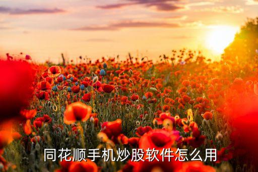  同花順手機(jī)炒股軟件怎么用