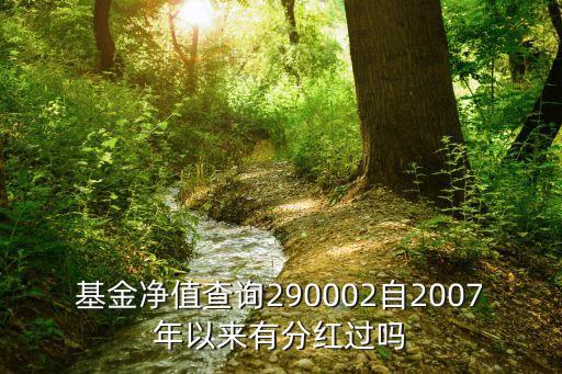 基金凈值查詢290002自2007年以來有分紅過嗎