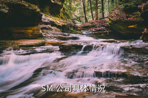 sm公司股票價格,怎么買sm公司的股票