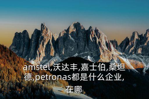 amstel,沃達豐,嘉士伯,桑坦德,petronas都是什么企業(yè),在哪